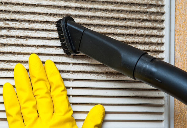 Best Affordable Duct Cleaning Services  in Kachina Village, AZ